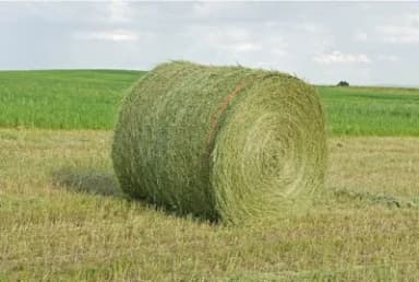 HayMax logo