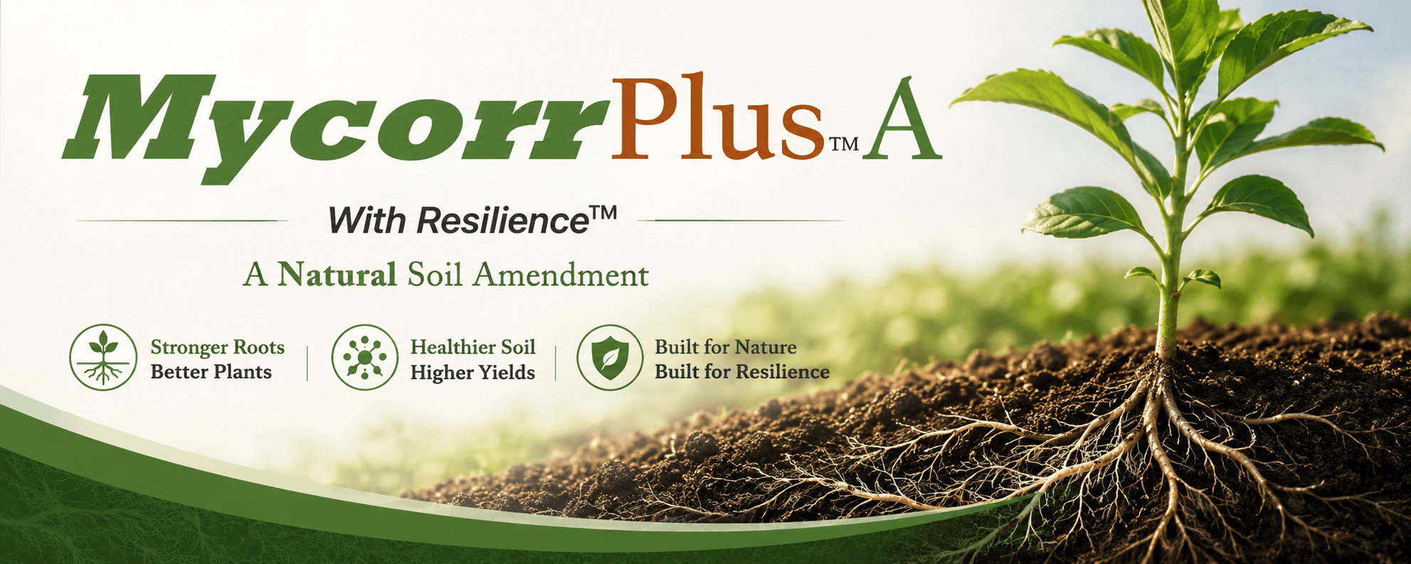 MycorrPlus banner