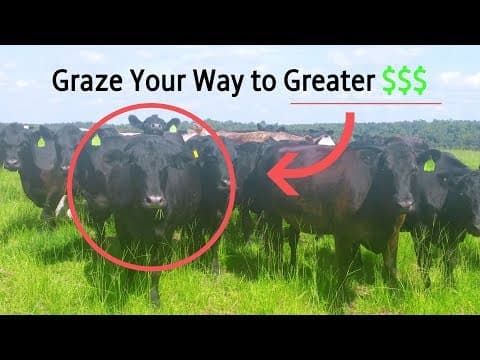 Grazing your way to more money