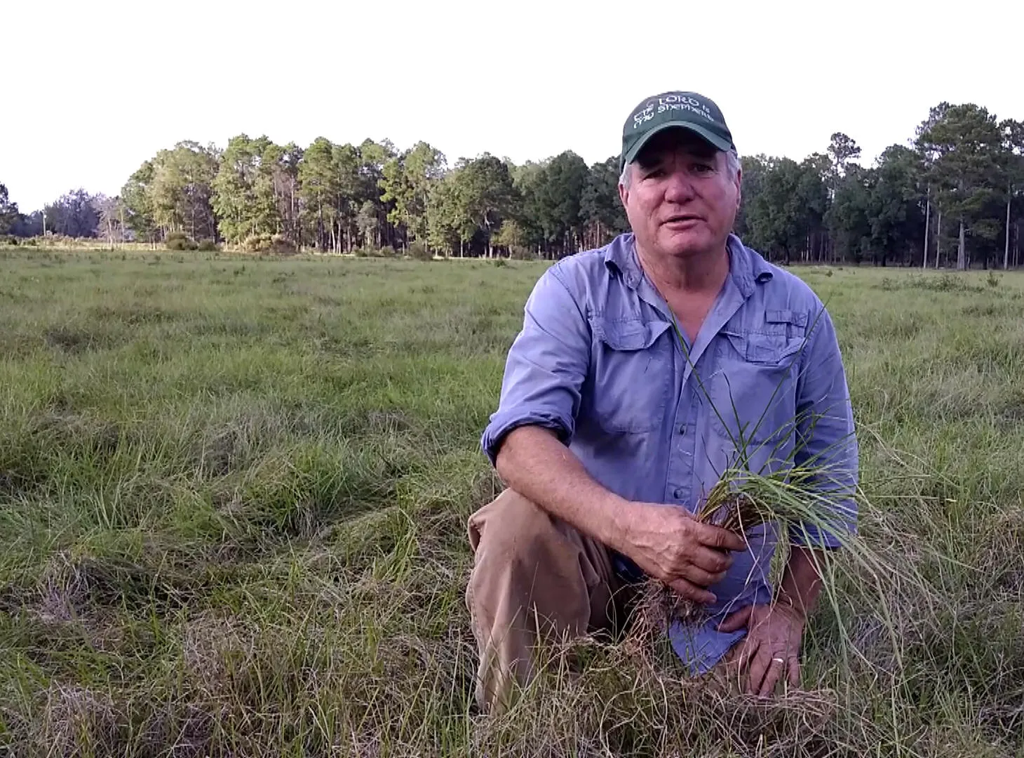 Grass Keeps Growing with Mycorr Plus
